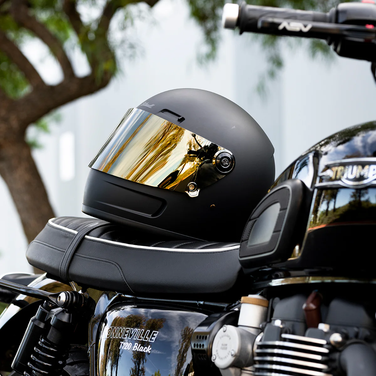 Gringo S / SV Shield - Gold Mirror - Image 8